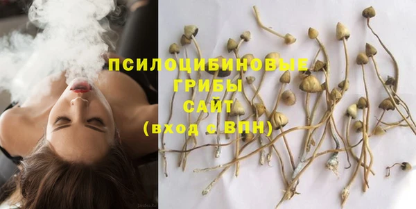 прущий лед Дмитров